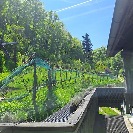 Das Altsteirische Landhaus - La Maison De Pronegg - Feriendomizil Im Biosphaerenpark Wienerwald Pressbaum エクステリア 写真