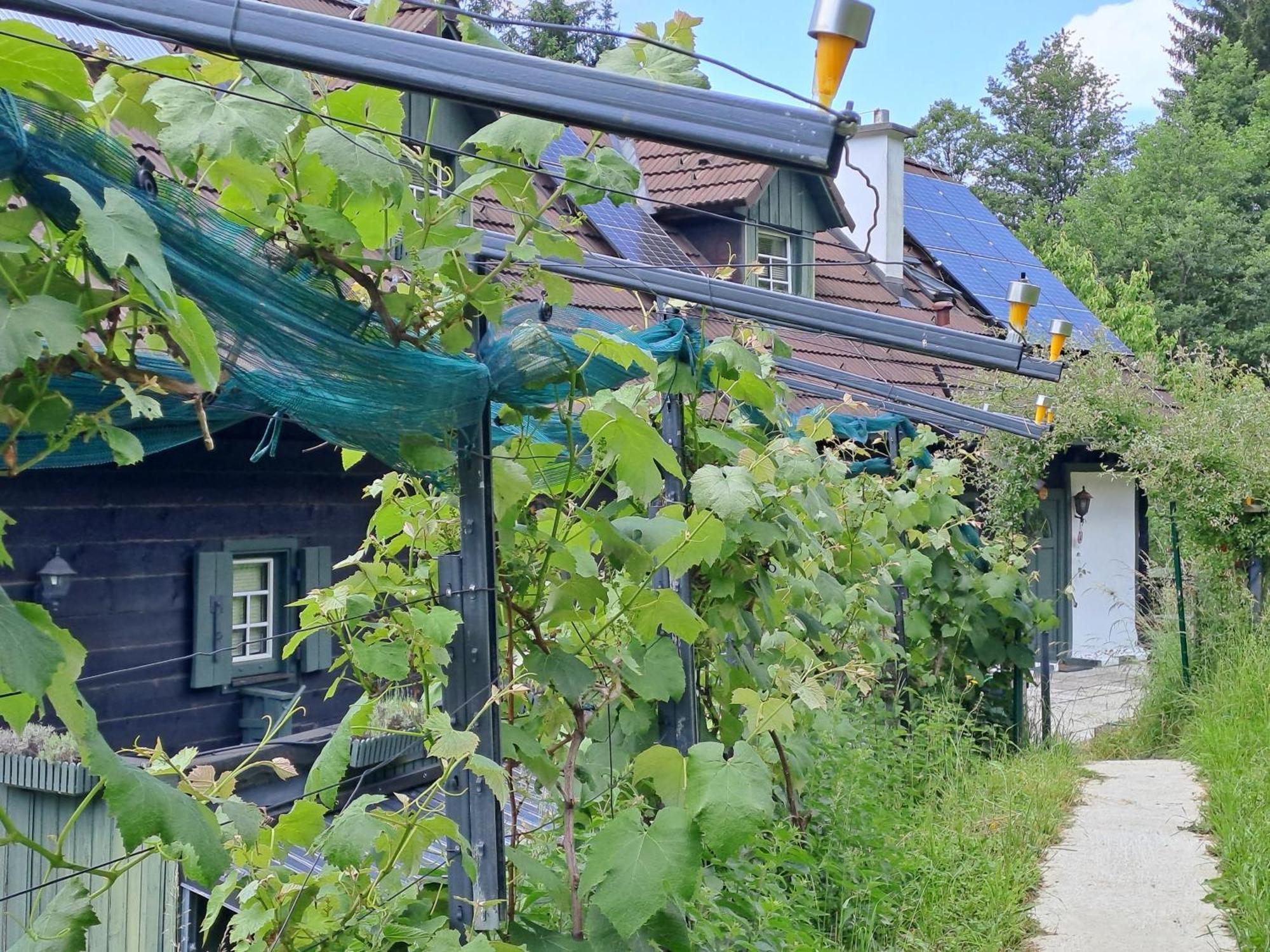 Das Altsteirische Landhaus - La Maison De Pronegg - Feriendomizil Im Biosphaerenpark Wienerwald Pressbaum エクステリア 写真
