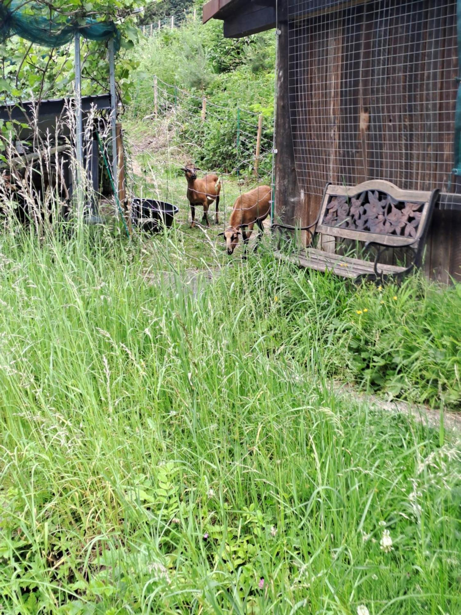 Das Altsteirische Landhaus - La Maison De Pronegg - Feriendomizil Im Biosphaerenpark Wienerwald Pressbaum エクステリア 写真