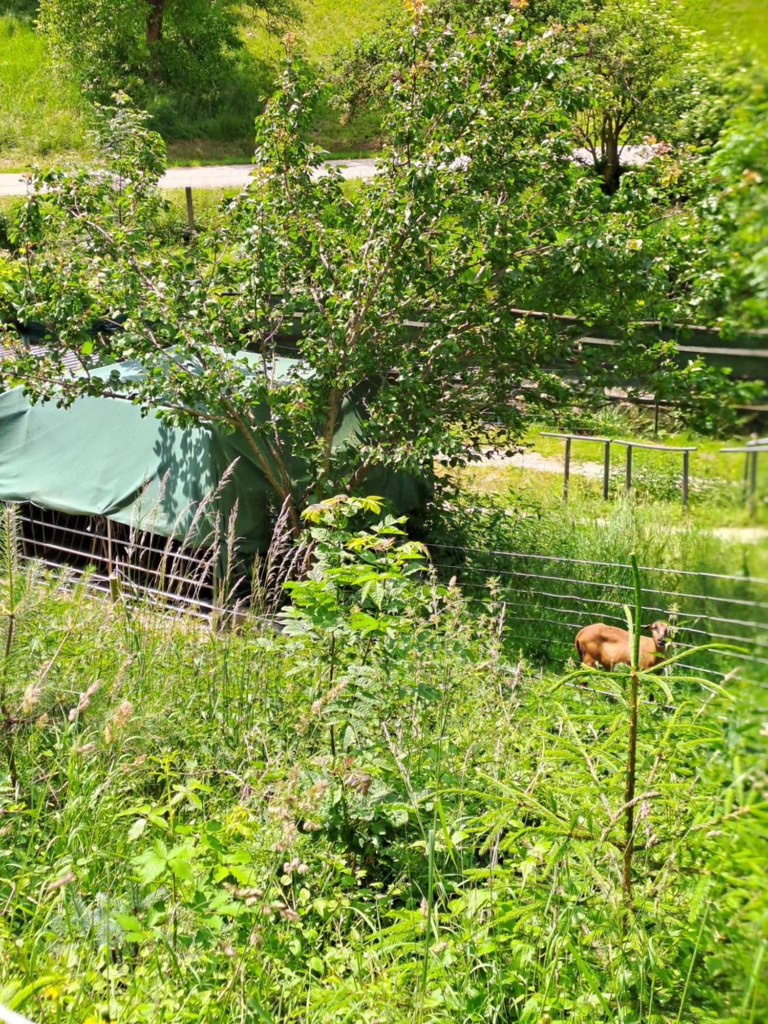 Das Altsteirische Landhaus - La Maison De Pronegg - Feriendomizil Im Biosphaerenpark Wienerwald Pressbaum エクステリア 写真