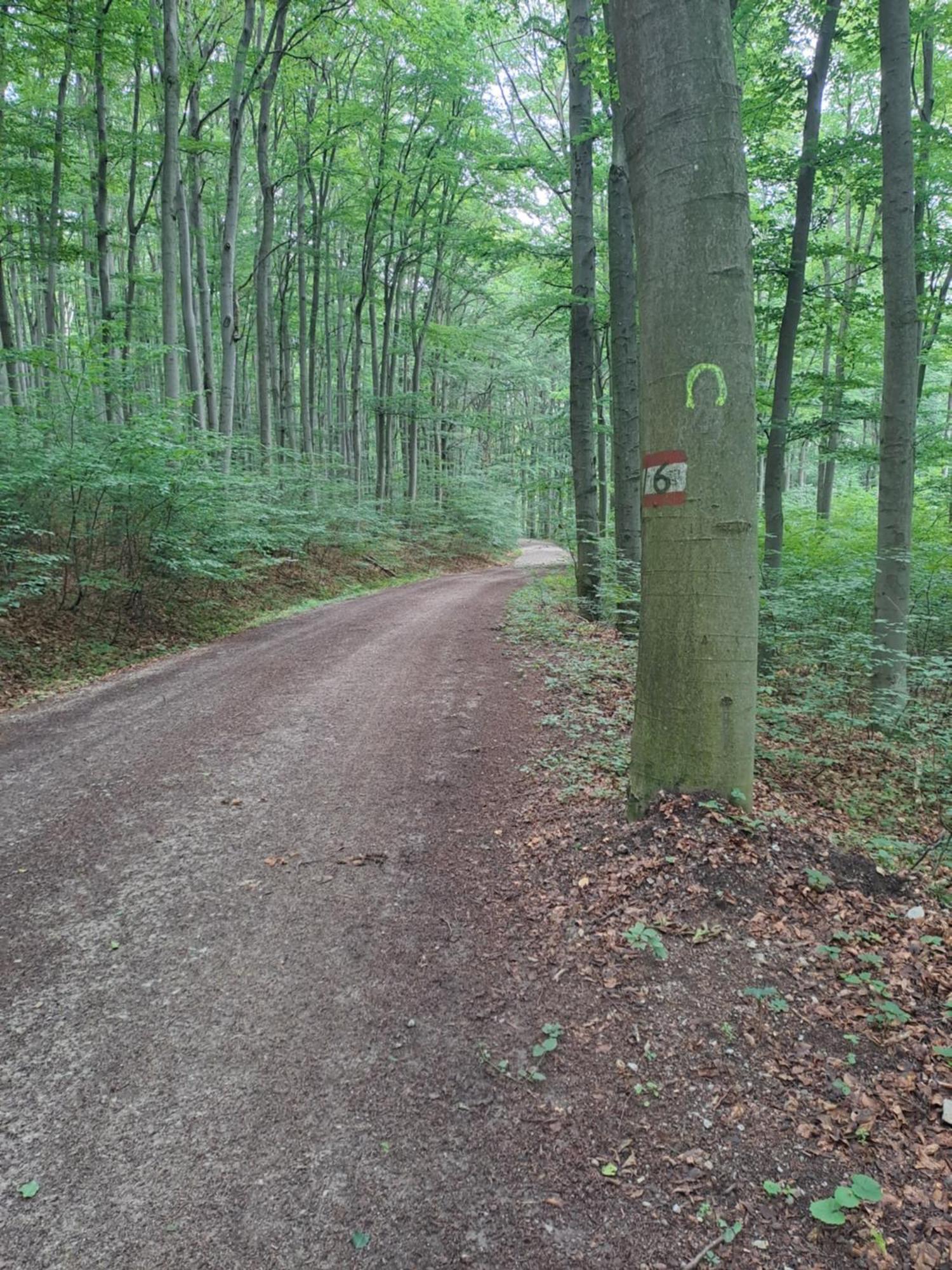 Das Altsteirische Landhaus - La Maison De Pronegg - Feriendomizil Im Biosphaerenpark Wienerwald Pressbaum エクステリア 写真