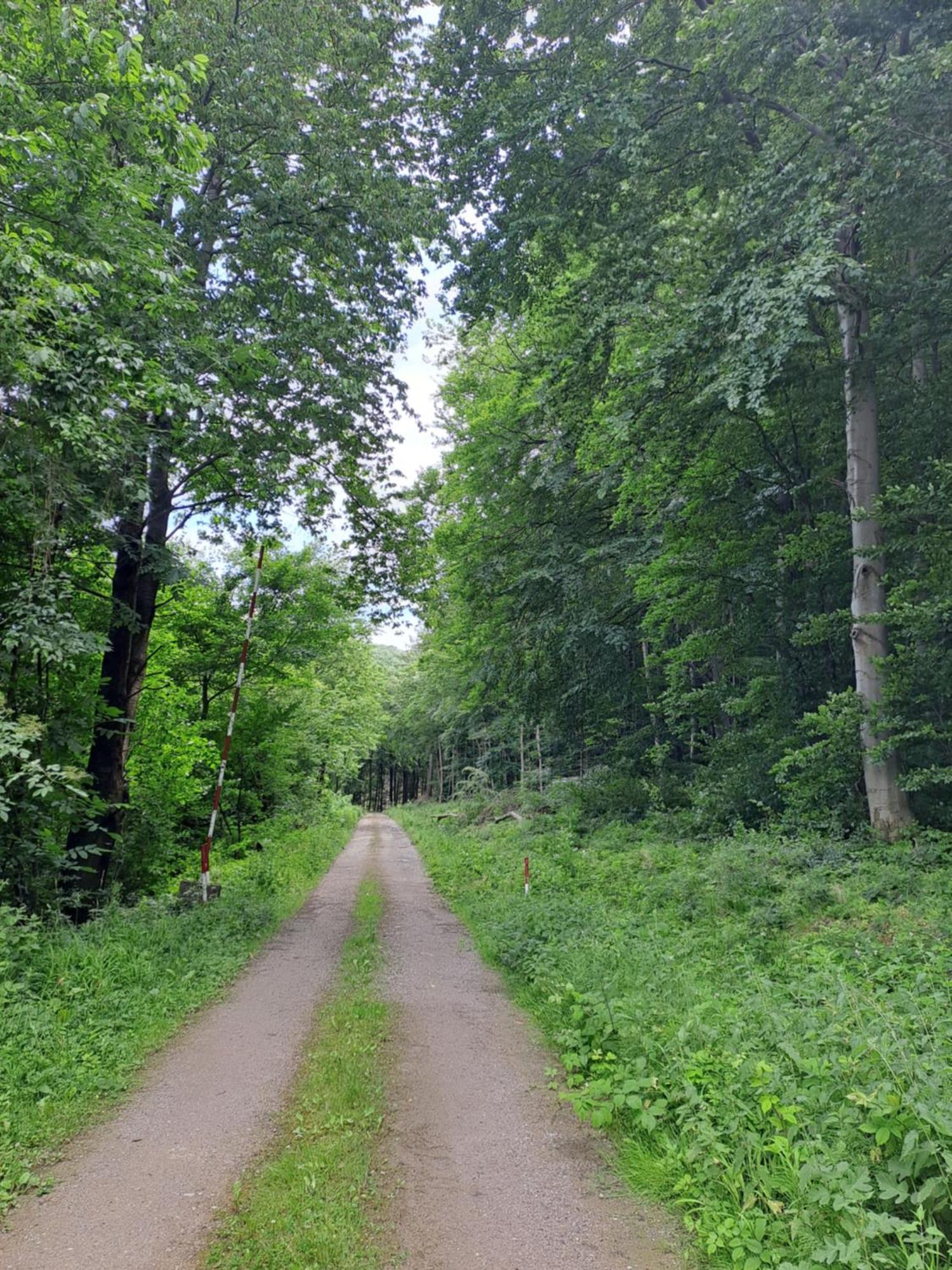 Das Altsteirische Landhaus - La Maison De Pronegg - Feriendomizil Im Biosphaerenpark Wienerwald Pressbaum エクステリア 写真