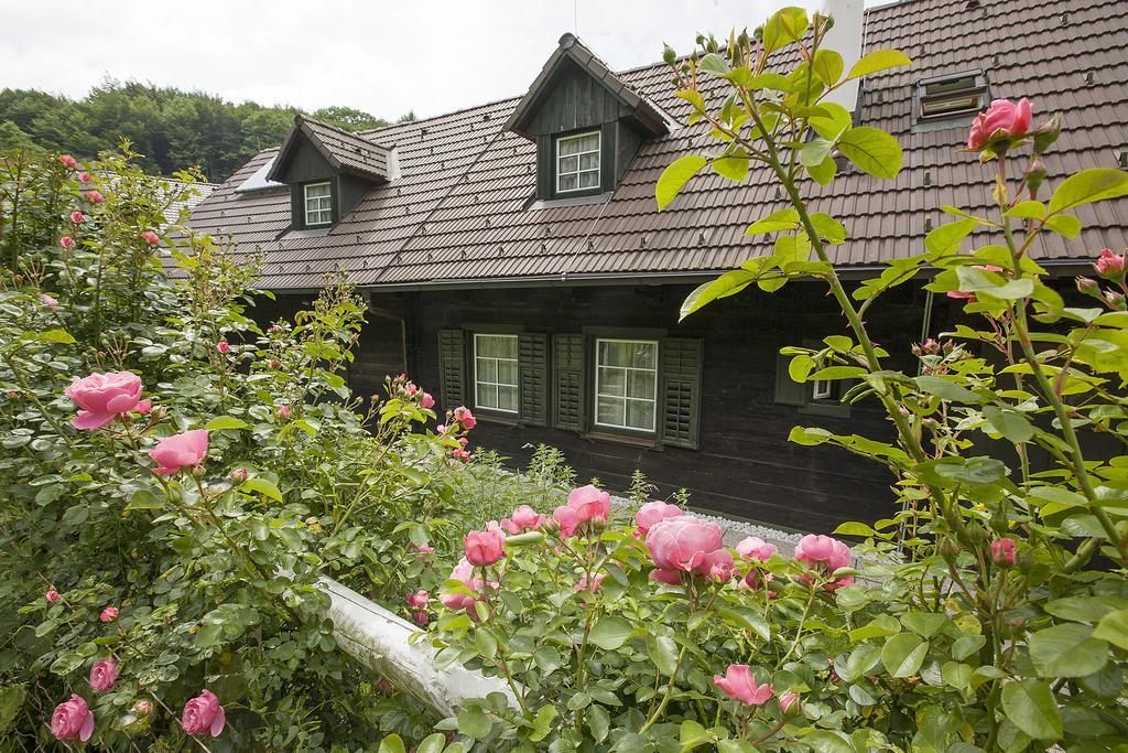 Das Altsteirische Landhaus - La Maison De Pronegg - Feriendomizil Im Biosphaerenpark Wienerwald Pressbaum 部屋 写真